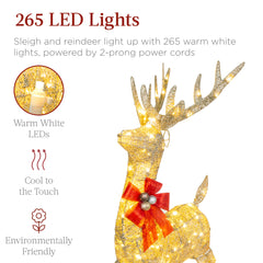 XL Lighted Christmas Reindeer & Sleigh Outdoor Decor Set w/ LED Lights