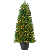 Pre-Lit Potted Christmas Tree w/ Twinkling White LEDs