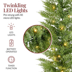 Pre-Lit Cedar Cypress Christmas Realistic Garland w/ Twinkling LEDs
