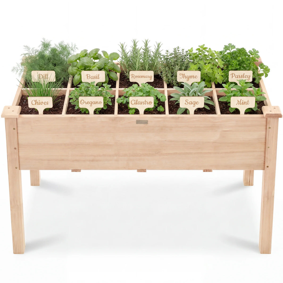 Raised Garden Bed Planter Box with 10 Grid Sections