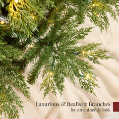 Pre-Lit Cedar Cypress Christmas Tree w/ Twinkling Lights